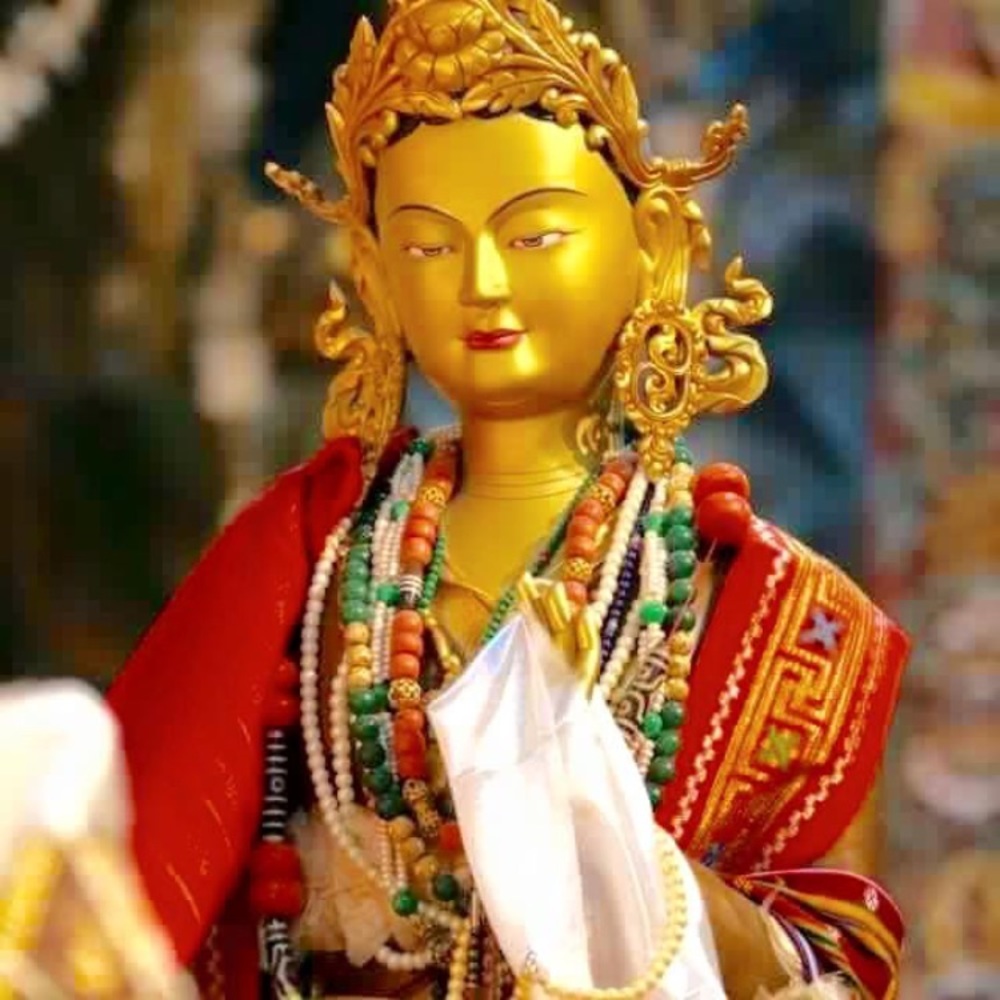 Meet your Posher, Sonam